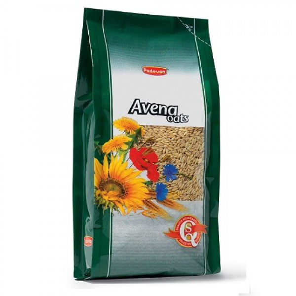 Avena Ovăz Decorticat 1kg