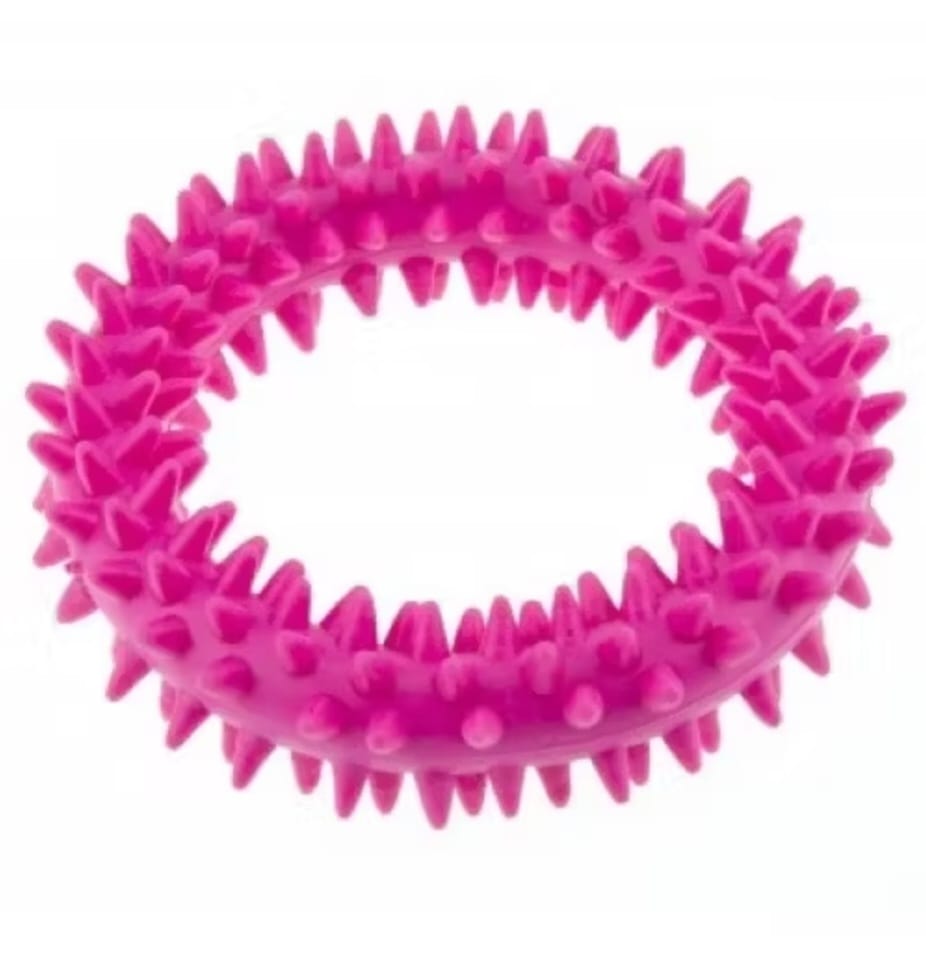 ENJOY JUCARIE PENTRU CAINE INEL ZIMTAT 9CM