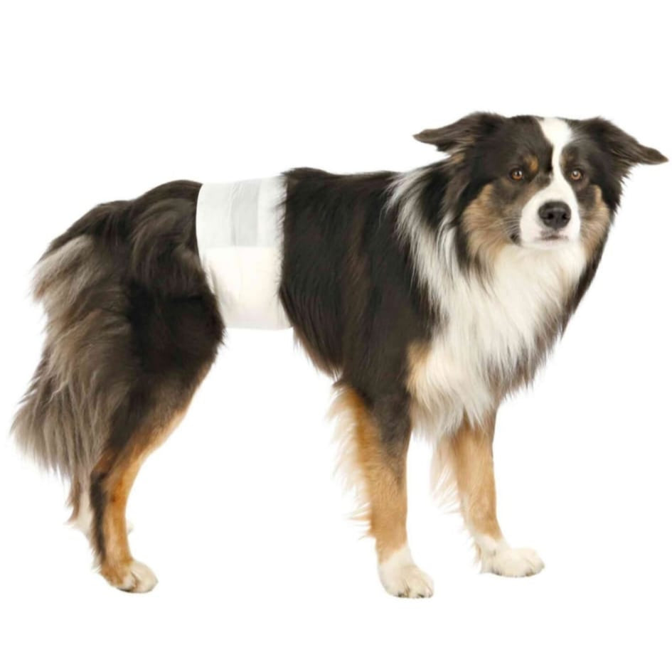 SCUTECE CAINI ABSORBANTE M-L SCUTECE CAINI ABSORBANTE M-L