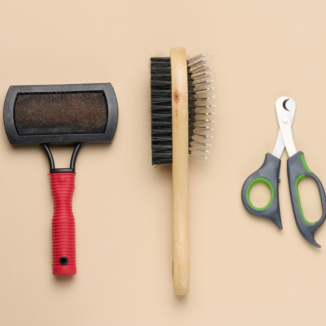 Perii / Pieptene Caini