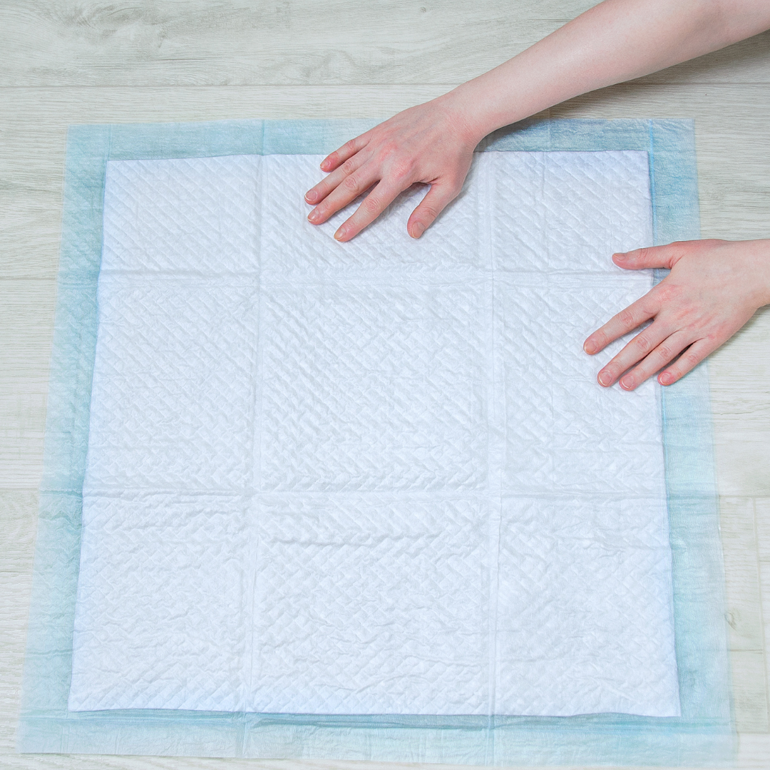 Covorase Absorbante Caini