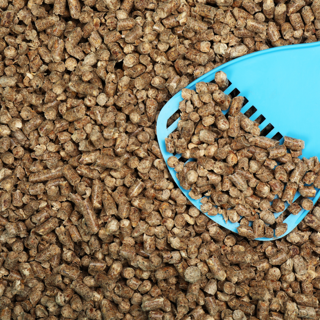 Bentonita / Peleti Pisici