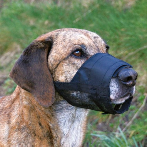 Botniţă Plasă Nr.5 – L-XL Deutsche Dogge(28-70cm) 22-34cm