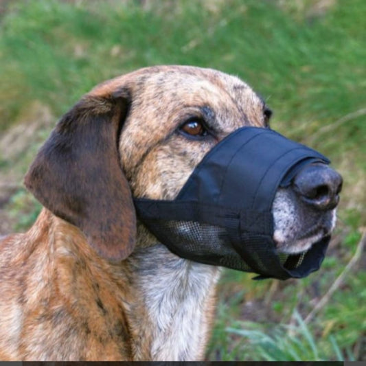 Botniţă Plasă Nr.4 – L Golde Retriever(24-60cm) 22-32cm