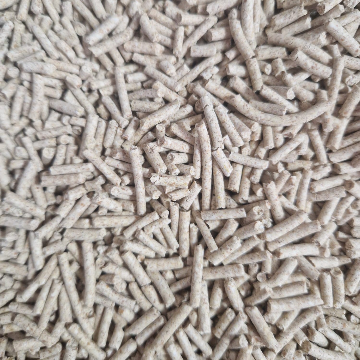 Tofu ecoMiau – Așternut biodegradabil și ecologic pentru pisici, natural, fara miros, 8 Litri