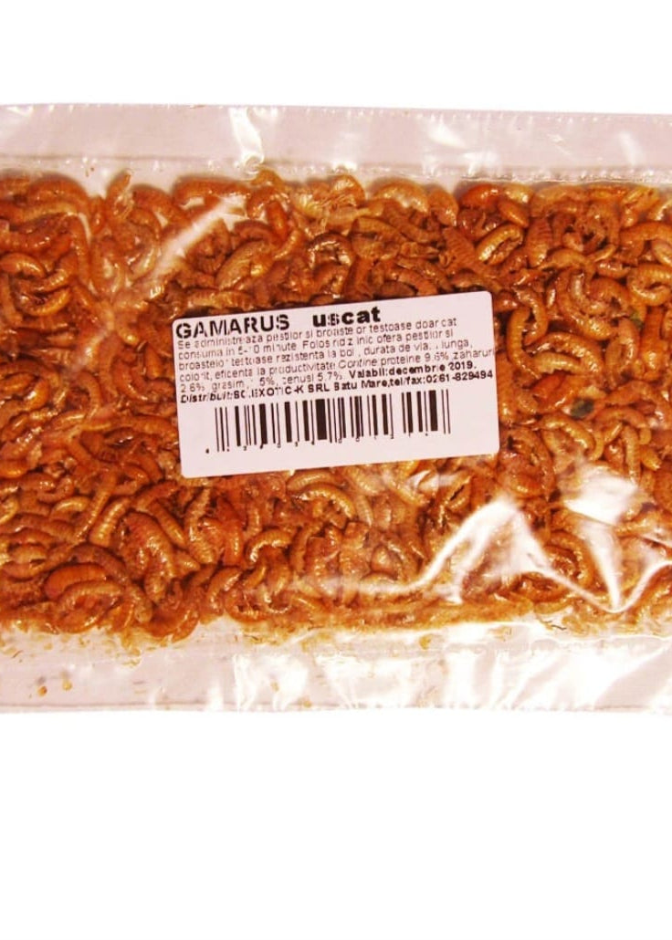 Gammarus Exo plic 5g