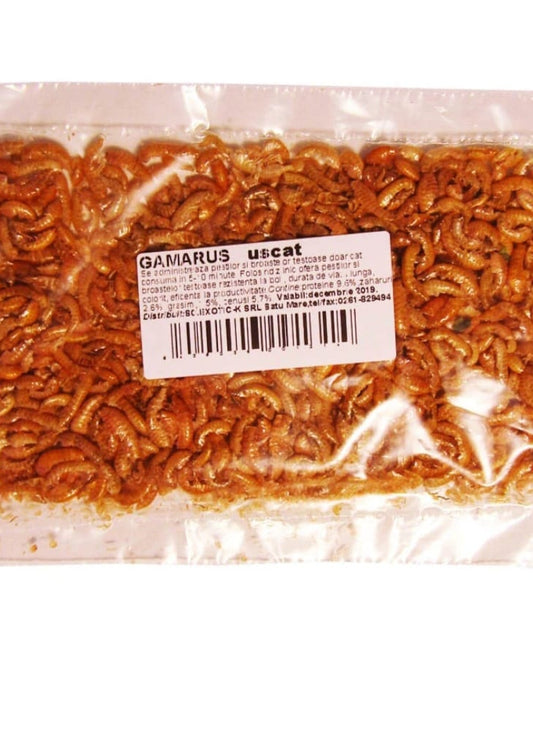 Gammarus Exo plic 5g