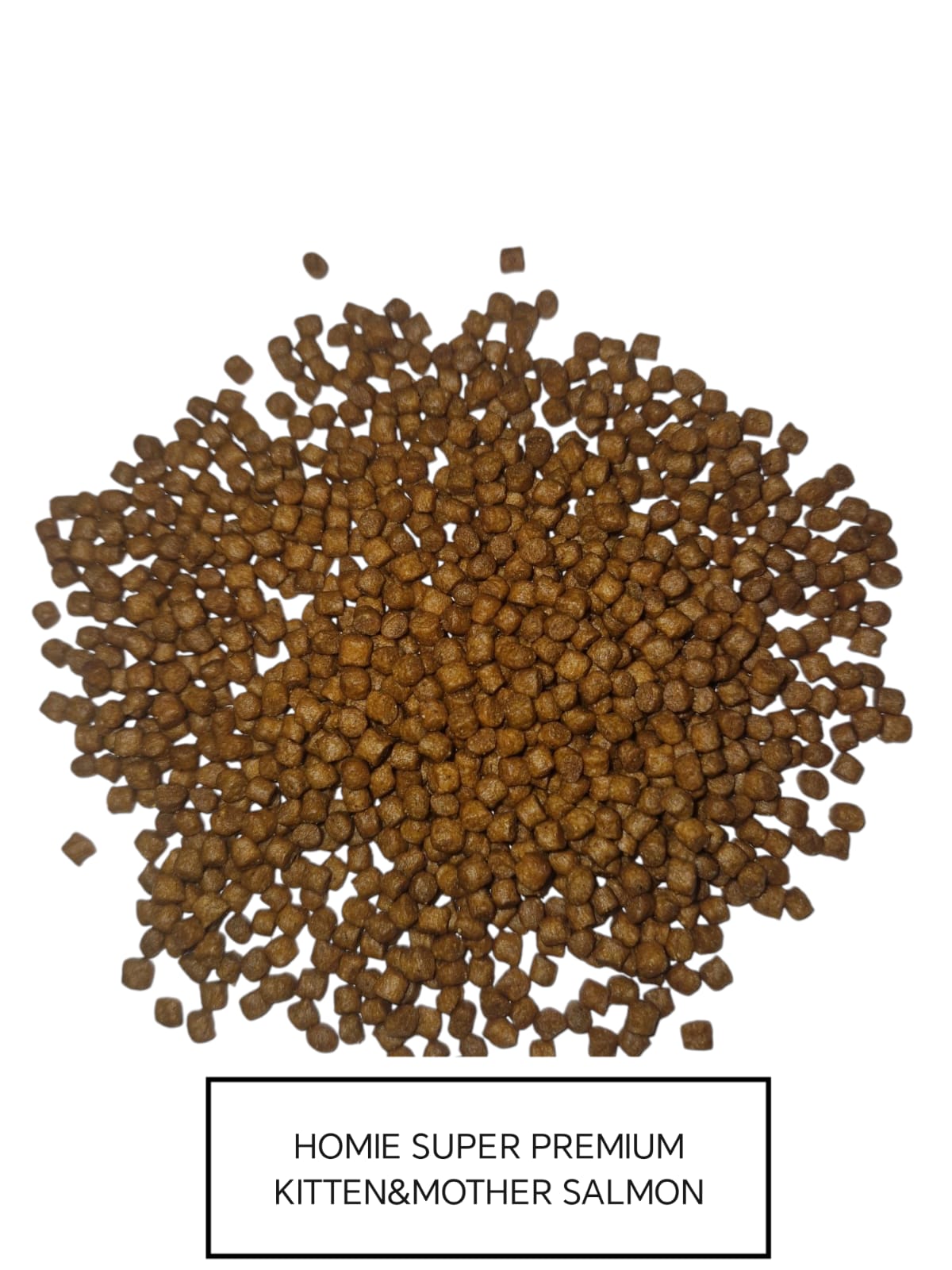 HOMIE SUPER PREMIUM KITTEN & MOTHER SALMON LOW GRAIN 12 KG